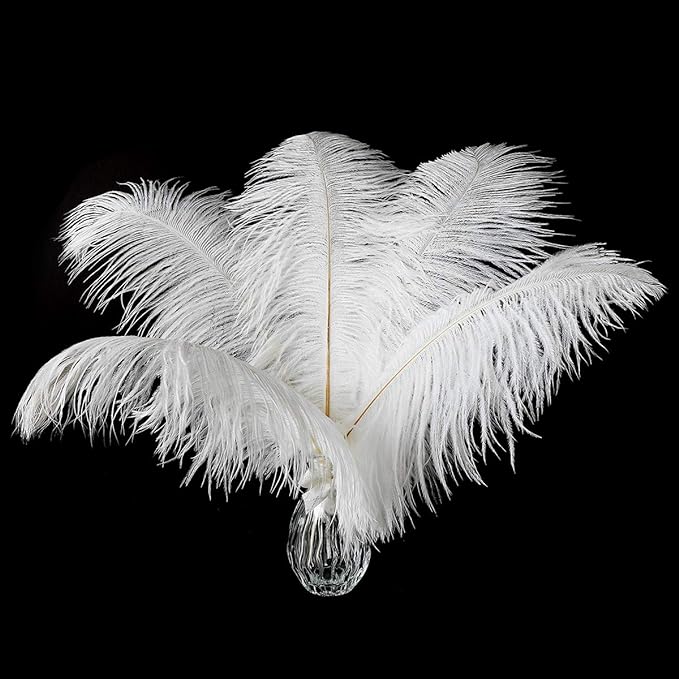 12pcs Natural White Ostrich Feathers 12-14inch (30-35cm) for Wedding Party Centerpieces,Flower Arrangement and Home Decoration.
