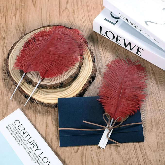 SOGUGOM Burgundy Craft Ostrich Feathers - 30PCS 8-10 inch Ostrich Feathers Kit for Centerpieces, Kindergarten Crafts, Dream Catchers and DIY Projects(Wine Red)