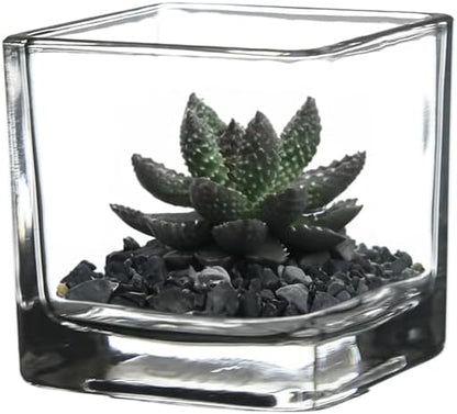 WGV 2 Inch Tea Light Votive Candle Holder, Clear, Square Cube 2”x2”, Small Tiny Bulk, Home Décor, Table Top, 6 Pcs