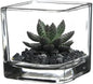 WGV 2 Inch Tea Light Votive Candle Holder, Clear, Square Cube 2”x2”, Small Tiny Bulk, Home Décor, Table Top, 6 Pcs