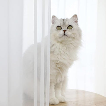 Window White Sheer Curtains 60 Inches Width 84 Inches Long 2 Panels Sheer Curtains Clear Curtains Basic Rod Pocket Panel for Home/Living Room/Bedroom/Kids Room