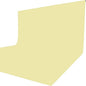 ISSUNTEX 6X9 ft/1.8X2.7 Meters Beige Background Photo Backdrop, Photo Studio, Collapsible High Density Screen for Video Photography and Television