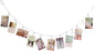 Multi-Purpose Steel Wall Hanging Photo Display Cable Wire Rod with 12 Adjustable Clips for Hanging Photos Notes Postcard and Artworks (Flower)