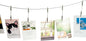 Wall Hanging Photo Display, DIY Picture Photo Frame String with 12 Clips for Hanging Photos Notes and Artworks (Adjustable Alligatory Clip)