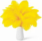 NEWONG 30pcs Yellow Ostrich Feathers Natural Bulk 8-10in（20-25cm） Vase Craft Wedding Home Party Centerpieces Christmas Day Decoration