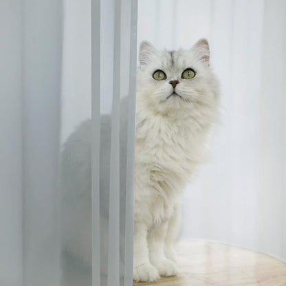 Window Light Gray Sheer Curtains 145 Inches Long 2 Panels Sheer Curtain Basic Rod Pocket Panel for Bedroom Children Living Room Yard Kitchen (Light Gray, 52" W x 145" L | 2 pcs)