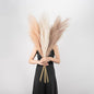 EVODIS Pampas Grass Decor Tall, 43"/110cm Faux Pampas Grass 6 Stems Large Pompass Grass Branches Tall Bulk Boho Flower Arrangement for Home Room Wedding Party Decor