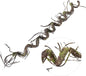 180cm/70.86in Bendable Artificial Tree Branches Liana Vines Garland Rattan with Moss Fake Plants Twigs for Wall Hanging Home Room Outdoor Wedding Background Decoration