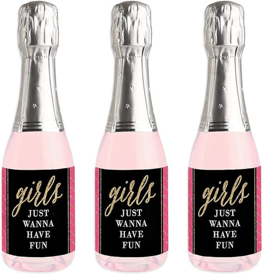 Big Dot of Happiness Girls Night Out - Mini Wine and Champagne Bottle Label Stickers - Bachelorette Party Favor Gift for Women and Men - Set of 16