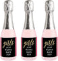 Big Dot of Happiness Girls Night Out - Mini Wine and Champagne Bottle Label Stickers - Bachelorette Party Favor Gift for Women and Men - Set of 16