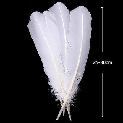 White Turkey Feathers,22 Pcs Natural Feathers Bulk Long 10-12 inch (25-30cm),Turkish Feather for Crafts DIY Wedding Home Party Mardi Gras Decorations (White)
