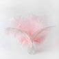 24pcs Natural Light Pink Ostrich Feathers 10-12inch (25-30cm) for Wedding Party Centerpieces，Flower Arrangement and Home Decoration.