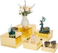 Acrylic Risers for Display 5 Pcs, Food Risers for Party Gold Cube Boxes Display Stands for Jewelry Bag Cosmetics Catering Dessert Collectibles