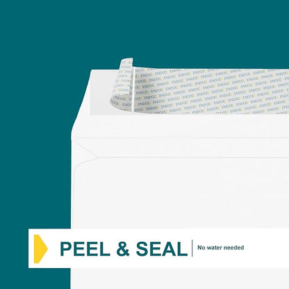 6x9 Booklet Envelopes - 100 Pack - Self Seal White Letter Mailing Envelopes With Peel & Seal Closure - Open-Side, 28 Lb Paper - Plain for Business and Personal Use
