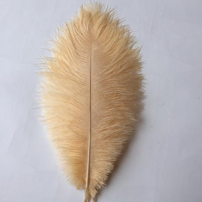 Sowder 10-12inch(25-30cm) Ostrich Feathers Plume for Wedding Centerpieces Home Decoration Pack of 10pcs(Champagne)