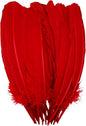 Red Turkey Feathers,22 Pcs Natural Feathers Bulk Long 10-12 inch (25-30cm),Turkish Feather for Crafts DIY Wedding Home Party Mardi Gras Decorations (Red)