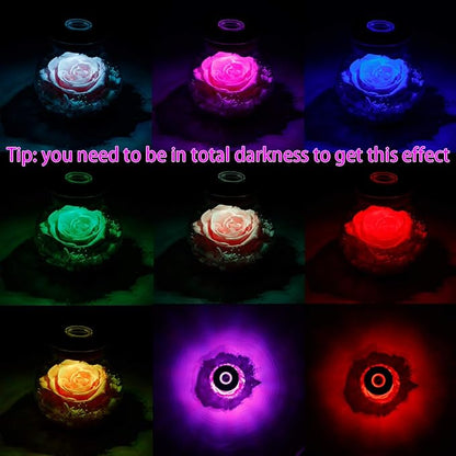 Preserved Real Roses with Colorful Mood Light Wishing Bottle, Eternal Rose，Never Withered Flowers, for Bedroom Party Table Decor, Christmas Decorations, a Gifts for Women 1pcs Pink