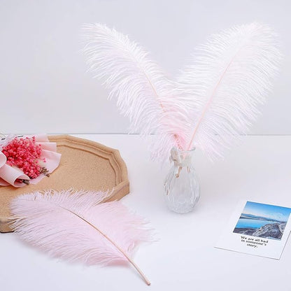 Ballinger Light Pink Ostrich Feathers - 24Pcs 12-14inch Large Feathers for Crafts,Party Centerpieces,Wedding and Home Decor