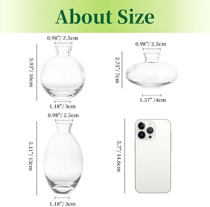 Glass Bud Vases Set of 6, Hewory Cute Clear Small Vases Handmade, Mini Glass Flower Vase for Floral Arrangement, Tiny Centerpiece for Wedding Party Events Home Office Table Decor (Not Include Flower)