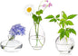 Glass Bud Vases Set of 3, Hewory Cute Clear Small Vases Handmade, Mini Glass Flower Vase for Floral Arrangement, Tiny Centerpiece for Wedding Party Events Home Office Table Decor (Not Include Flower)
