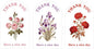 300Pcs Large Thank You Stickers, Outer Packaging Sealing Labels, and Gift Box Decorations,Foval Thank You Stickers.