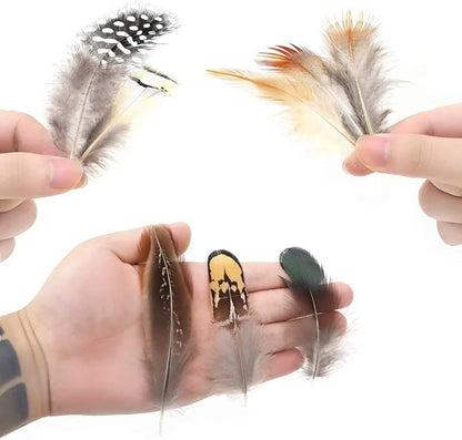 360pcs 12 Styled Natural Feathers Assorted Mixed Feathers for Jewelry and Dream Catcher Crafts