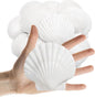25PCS Sea Shells Scallop Shells Natural White Sea Shells for DIY Craft Crafting,Painting,Baking,Home Decor and Beaching Wedding Decoration (6-8CM) Seashells Bulk