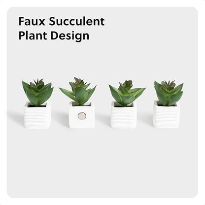U Brands Mini Fashion Small Magnet Set, Green Succulents, 12 Count, Office Supplies for Classroom or Office Decor, Cute Magnets for Whiteboard