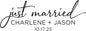 Personalized Just Married Car Decal, Just Married Vinyl Sticker, Wedding Day Car Decor, Choose from Several Sizes and Colors