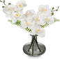 White Orchids Artificial Flowers with Vase, Small Faux Orchid Arrangement Fake Flower in Woven Glass Vase Black and White Decor Small White Centerpieces for Kitchen Dining Room Tables Bathroom Decor