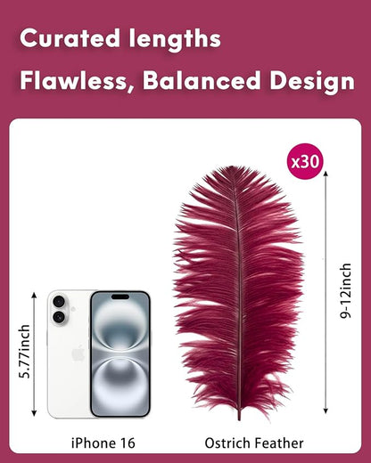 NEWONG 30pcs Wine red Ostrich Feathers Natural Bulk 9-12in（23-30cm） Vase Craft Wedding Home Party Centerpieces Christmas Day Decoration