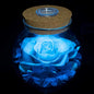 Preserved Real Roses with Colorful Mood Light Wishing Bottle,Eternal Rose，Never Withered Flowers, Christmas Anniversary Valentine's Mother's Day,a Gifts for Women 4.3inch 1pcs（Light Blue）