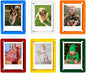 Acrylic Magnetic Refrigerator Picture Frames, 3x5 Inch Fridge Magnetic Mini Photo Frames Compatible with Polaroid Camera Photos for Refrigerator/Locker/Wall, Colorful 6 Pack