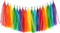 Rainbow Tissue Paper Tassels Colorful Party Tassel Garland Banner Decorations, DIY Kits,Pack of 30