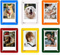 Mini Magnetic Photo Frames for Refrigerator, 2.36x3.54" Acrylic Magnetic Colorful Picture Frames, 2x3 Mini Film Display Compatible with Instax/Polaroid Camera Photo for Fridge/Locker, 6 Pack