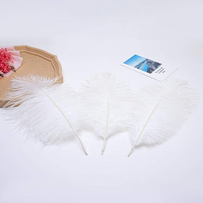 12pcs Natural White Ostrich Feathers 12-14inch (30-35cm) for Wedding Party Centerpieces，Flower Arrangement and Home Decoration.