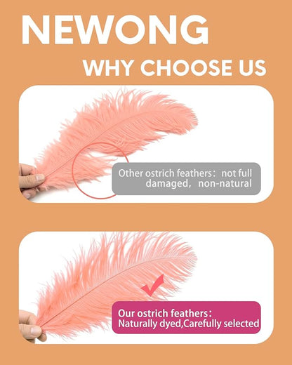 NEWONG 30pcs Rouge Pink Ostrich Feathers Natural Bulk 8-10in（20-25cm） Vase Craft Wedding Home Party Centerpieces Christmas Day Decoration