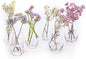 CHIVE ‘George’ Glass Bottle Flower Vases — Set of 6 — Small, Elegant Clear Glass Bud Vases — Bulk Pack for Home Decor & Table Centerpieces — Shape 5 (Oval, 5” Tall, 2.5” Wide)