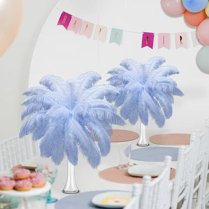 Maitys 90 Pcs Large Natural Ostrich Feathers Bulk 14-16 Inch (35-40cm) 12-14 Inch (30-35cm) 10-12 Inch (25-30cm) Ostrich Feathers Plumes for Centerpieces Wedding(Light Blue)
