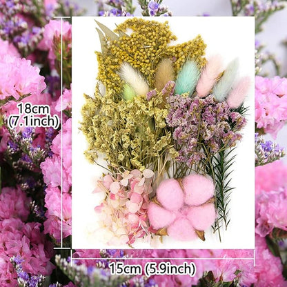 Vignee Real Dried Pressed Leaf Flowers-Multiple Colorful Pressed Flowers Daisies for Craft Resin Jewelry Making Art Craft DIY and Soap Candle Scrapbooking DIY Resin（Pink）