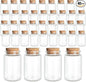 JIUYUE 40 pcs 50 ml Small Glass Cork Bottles,Cork Decoration(1.69 oz-1.45x2.75 inch)