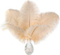 Ballinger Light Salmon Ostrich Feathers - 24pcs 8-10inch Feathers for Crafts，Wedding Party Centerpieces and Home Decor