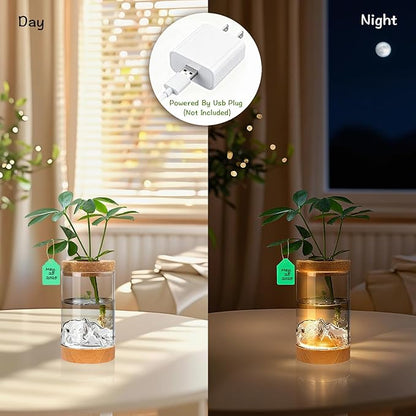 2Pcs Plant Propagation Station with Mountain-Shaped Bottom - Hydroponic Glass Vases, Wooden Base with Lighting, Terrarium Jars for Indoor Growing, Desktop Vivarium, Ideal Gifts for Plant Lovers