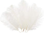 Sowder 6-8inch(15-20cm) Ostrich Feathers Plume for Wedding Centerpieces Home Decoration Pack of 10pcs(White)