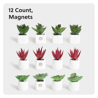 U Brands Mini Fashion Small Magnet Set, Green Succulents, 12 Count, Office Supplies for Classroom or Office Decor, Cute Magnets for Whiteboard