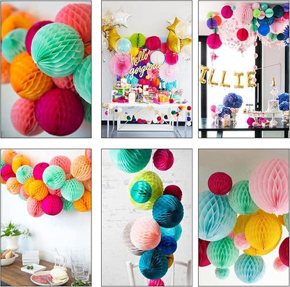 CC wonderland zone 12pcs Hot Pink and Black Paper Honeycomb Balls,6" & 10" Hanging Tissue Pom poms for Birthday Party Decoration