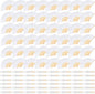 48 Pieces White Hand Held Bamboo Folding Fans Paper Fans Handheld for Women Foldable Girls Wedding Decoration Church Home Party Favors Summer