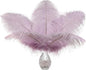 Ballinger Lavender Ostrich Feathers Bulk - 24Pcs 12-14inch Light Purple Feathers for Party Centerpieces, Flower Arrangement and Home Decor