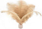 Ballinger Champagne Large Ostrich Feathers - 12Pcs 14-16inch Large Boho Feathers for Vase,Wedding Party Centerpieces and Holiday Home Decor