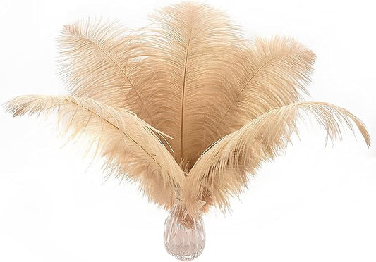 Ballinger Large Champagne Ostrich Feathers - 24pcs 8-10inch Boho Feathers for vase and Home Decor Wedding Party Centerpieces
